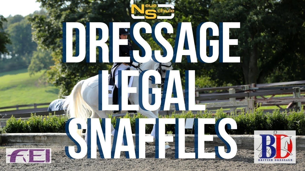 4 - Neue Schule Dressage Legal Snaffles