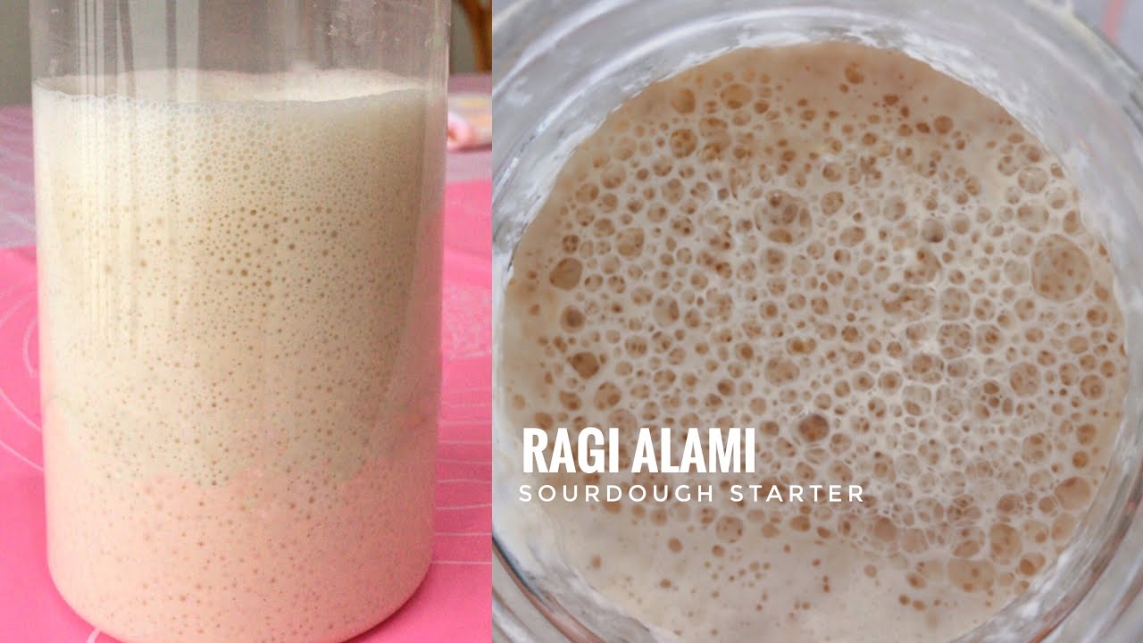 CARA MEMBUAT RAGI ALAMI (SOURDOUGH STARTER) | Tips Baking