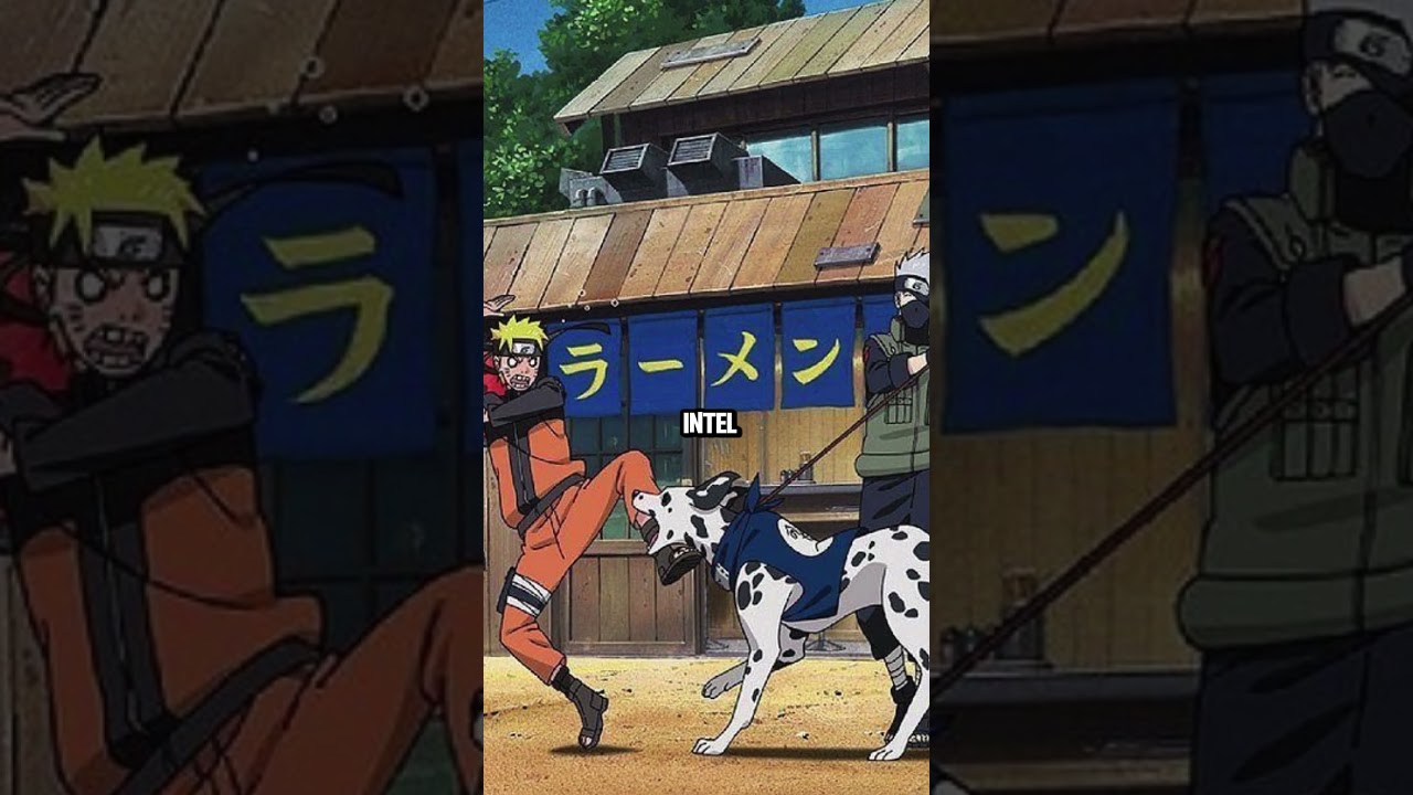 Why Kakashi Summons Ninja Dogs | Naruto