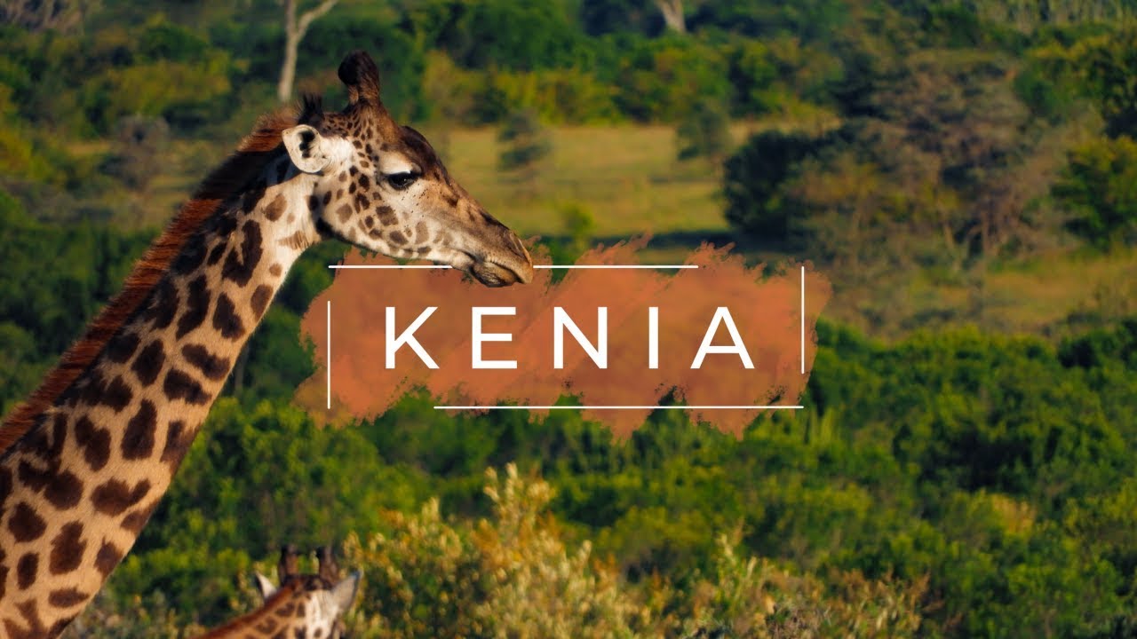 KENIA  |  Aventuras de un viaje a África // Travel Video