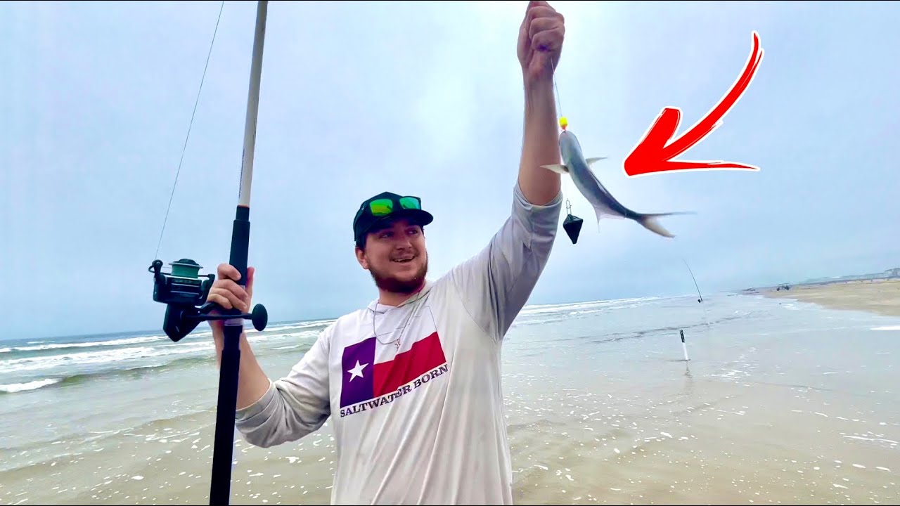 THIS is the most PRIZED fish on the BEACH!