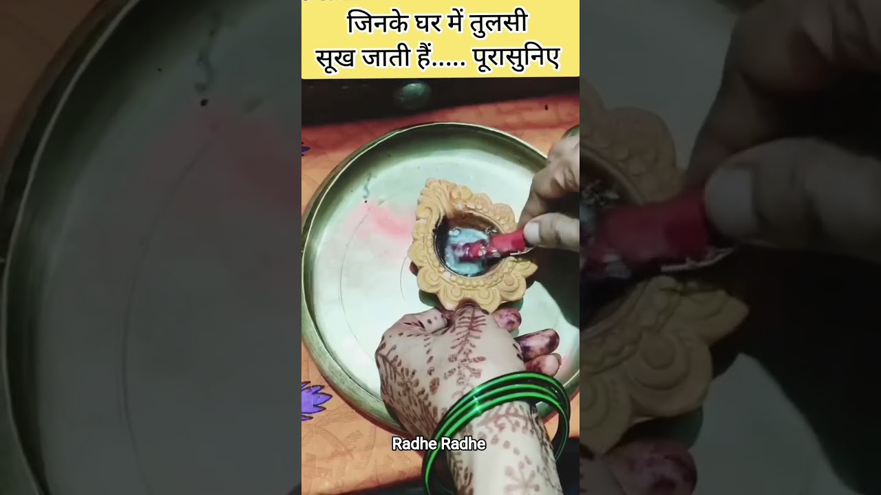 tulsi sukh jaye to kya kare #viral #shorts #tulsi #bhakti #pradeepmishra #youtubeshorts
