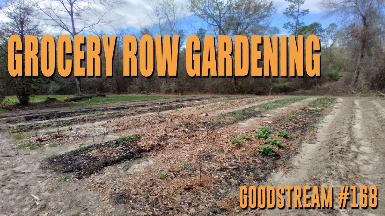 Grocery Row Gardening (Goodstream #168)