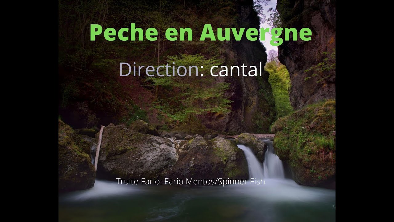 Truite 2020 : Peche en Auvergne dans le Cantal
