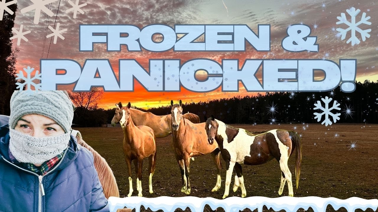 We Were NOT Ready for This Cold ❄️ Frozen Water, Panicked Horses & Farm Chaos