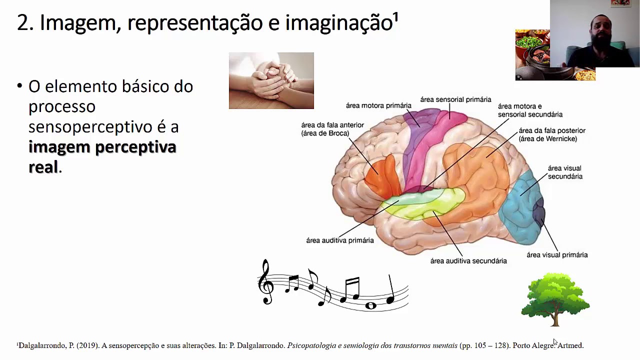 Sensopercepção e suas alterações: definições básicas (aula 1)
