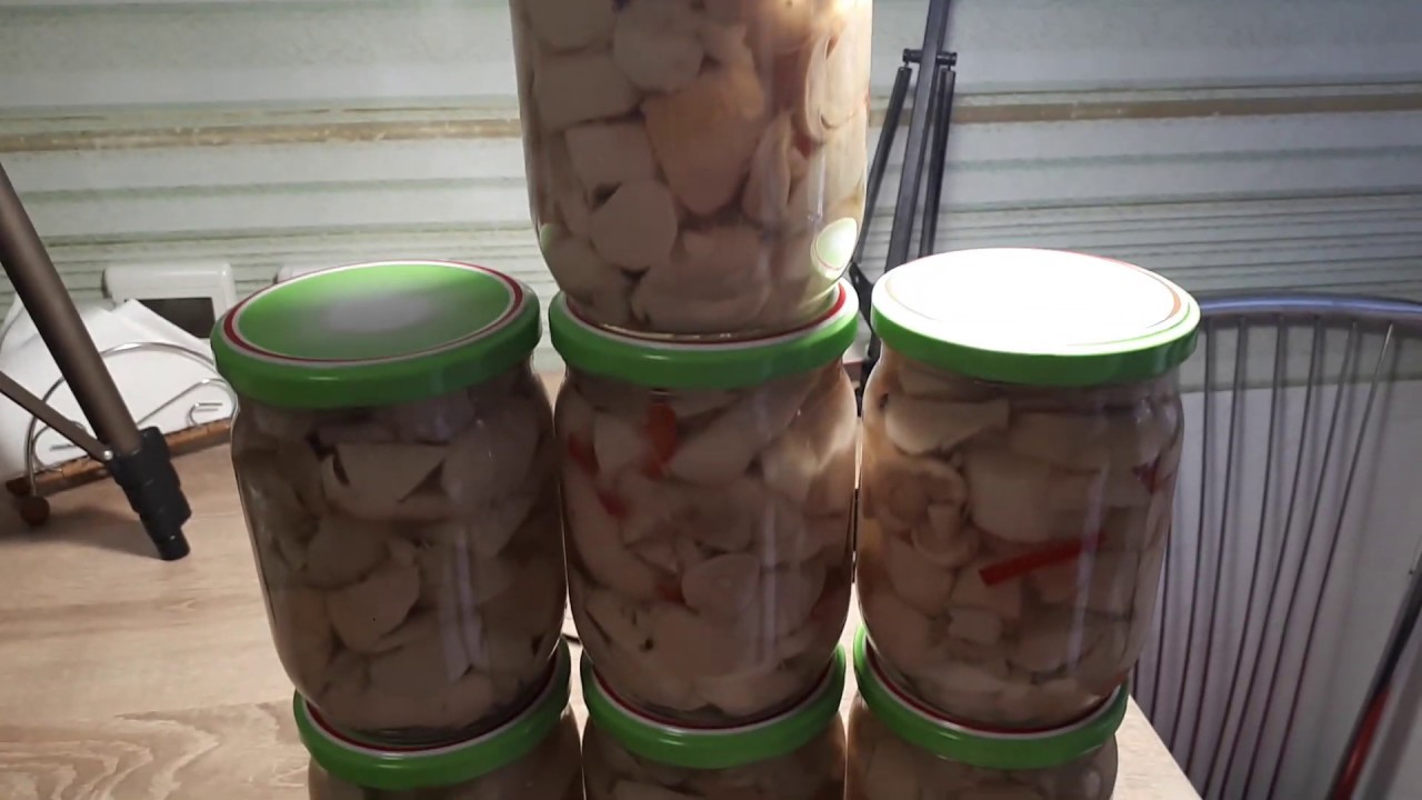 КАК Я КОНСЕРВИРУЮ ГРИБЫ