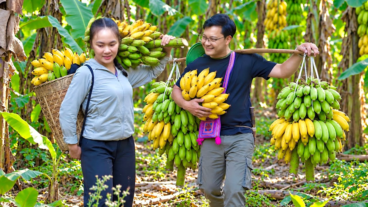 CEO Leaves City for Forest Life &mdash; First Banana Harvest, Goes to Market & Cooks Special Snail Noodles
