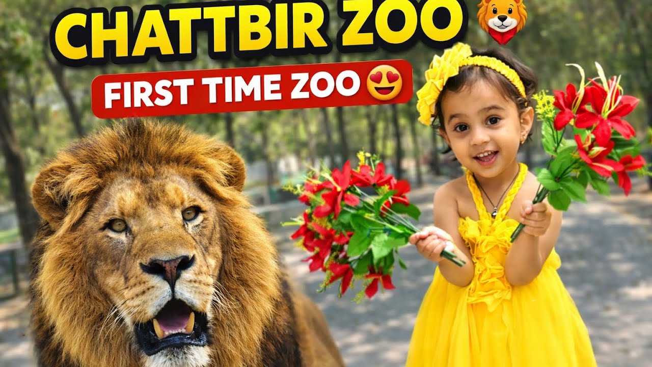 Chattbir Zoo Vlog 🦁 | Lion Safari + White Peacock 😍 | Full Family Picnic