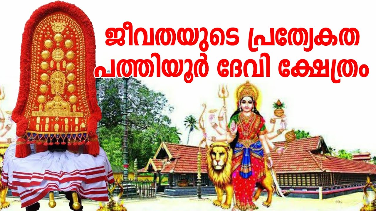 ഓണാട്ടുകരയിലെ ജീവതകളിൽ ഏറ്റവും വലുത് | Amma Bhaaratham | പത്തിയൂർ ദേവി ക്ഷേത്രം | Mavelikara