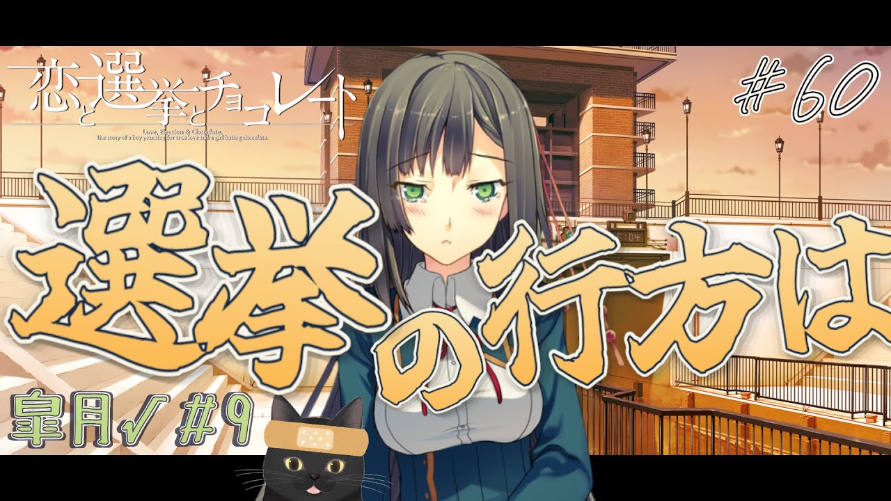 #60【恋と選挙とチョコレート】～猫に清き一票を♪♪♪～※ネタバレあり！！！