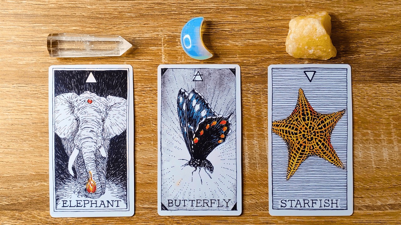 YOUR LIFE 6 MONTHS FROM NOW! 🐘🦋⭐ Pick A Card 🔮✨ Timeless Tarot Reading
