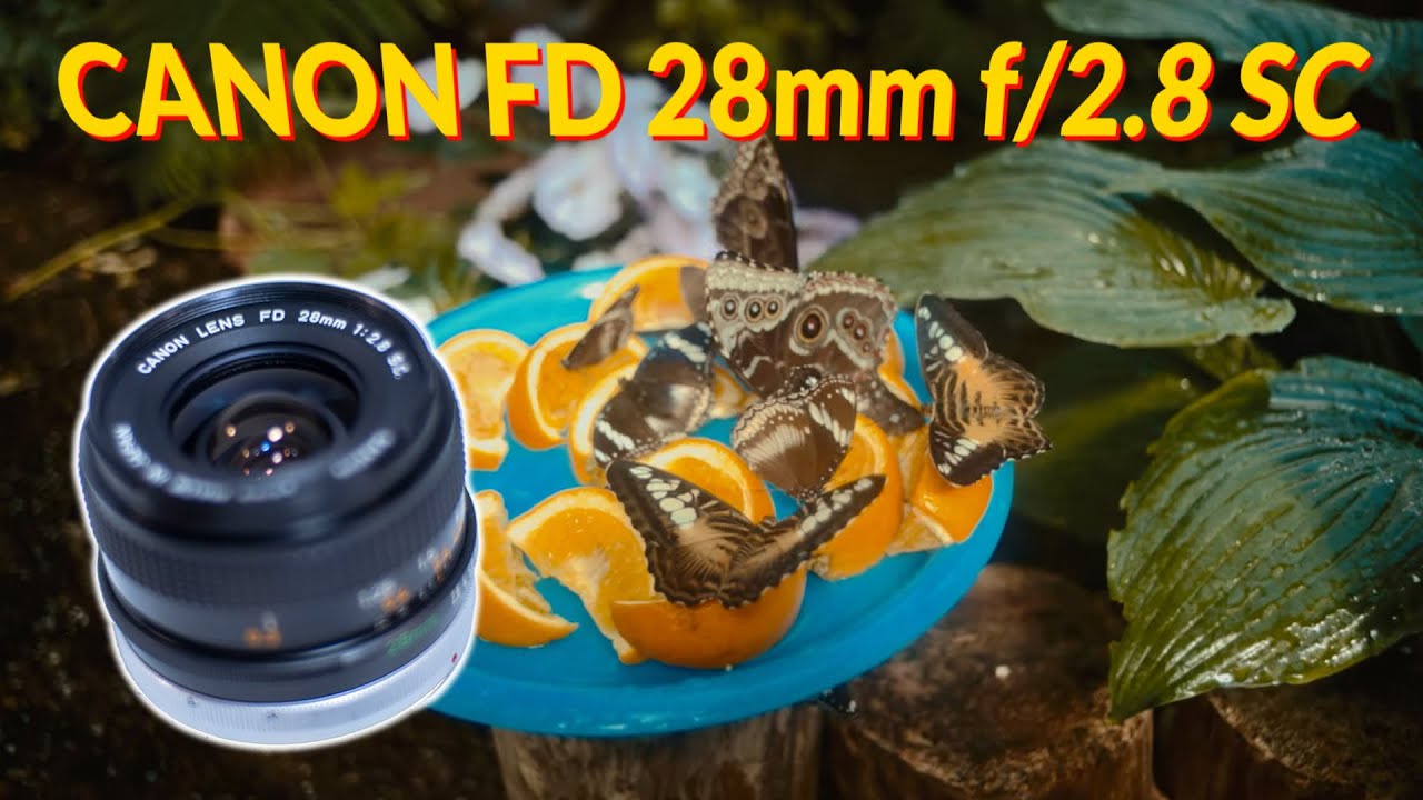 The #CanonFD 28mm f/2.8 SC on #SigmaFP CDNG RAW | Lens test