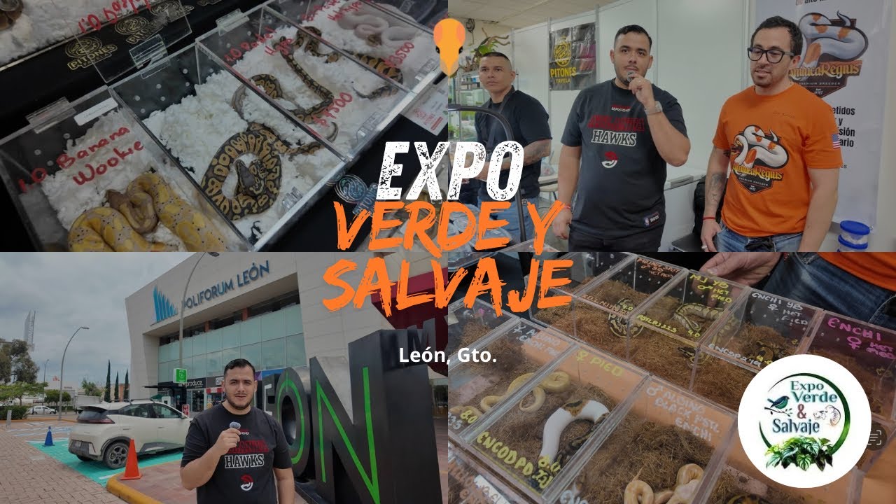 Así se vivió la Expo Verde y Salvaje en León, Gto. 🐍 