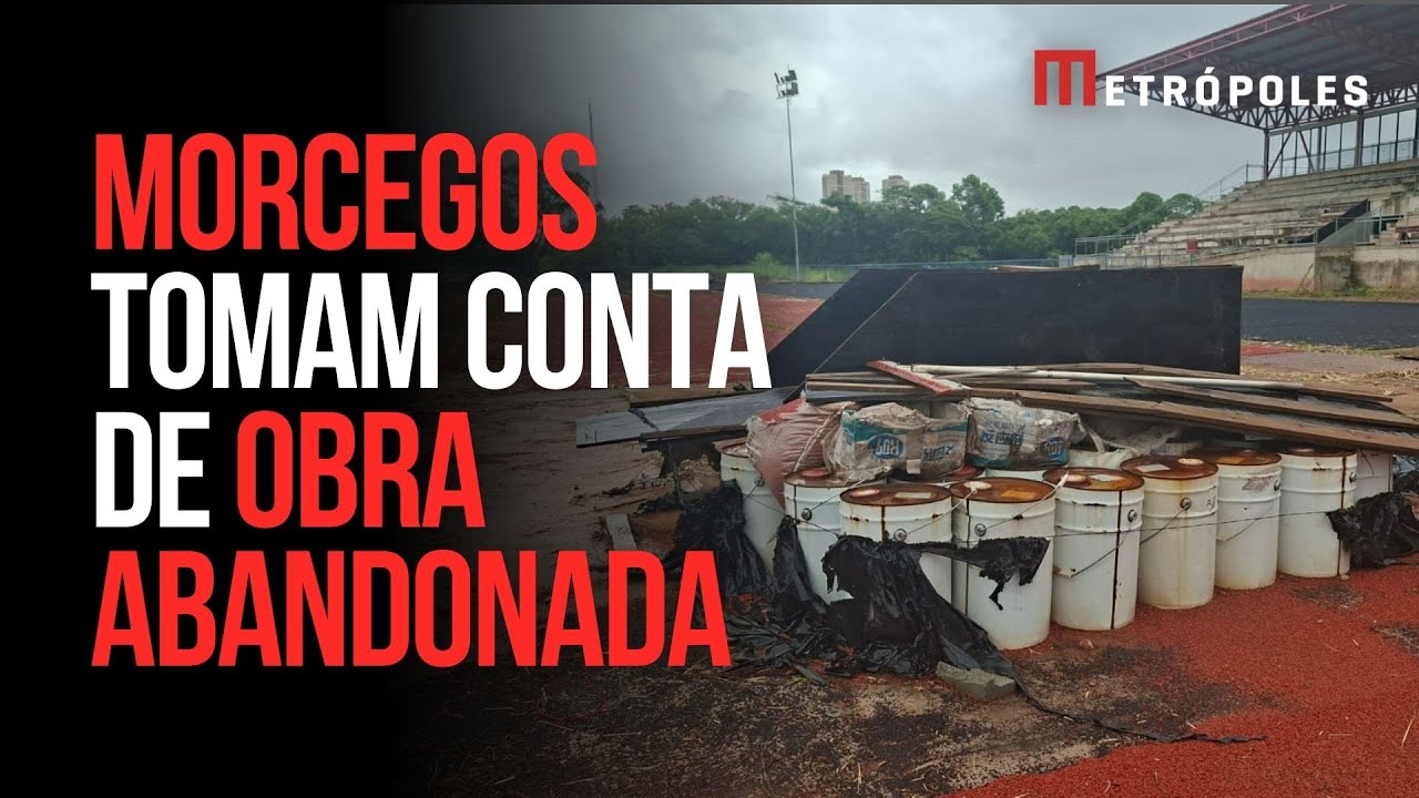 Obra de pista atlética de R$ 61 milhões abandonada abriga morcegos em SP