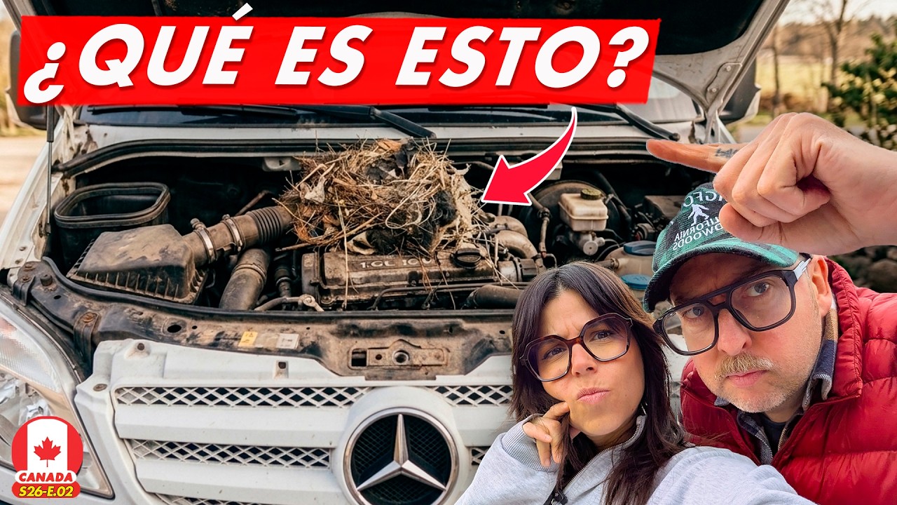 👀 ASÍ ENCONTRAMOS LA FURGONETA DESPUÉS DEL INVIERNO 🇨🇦