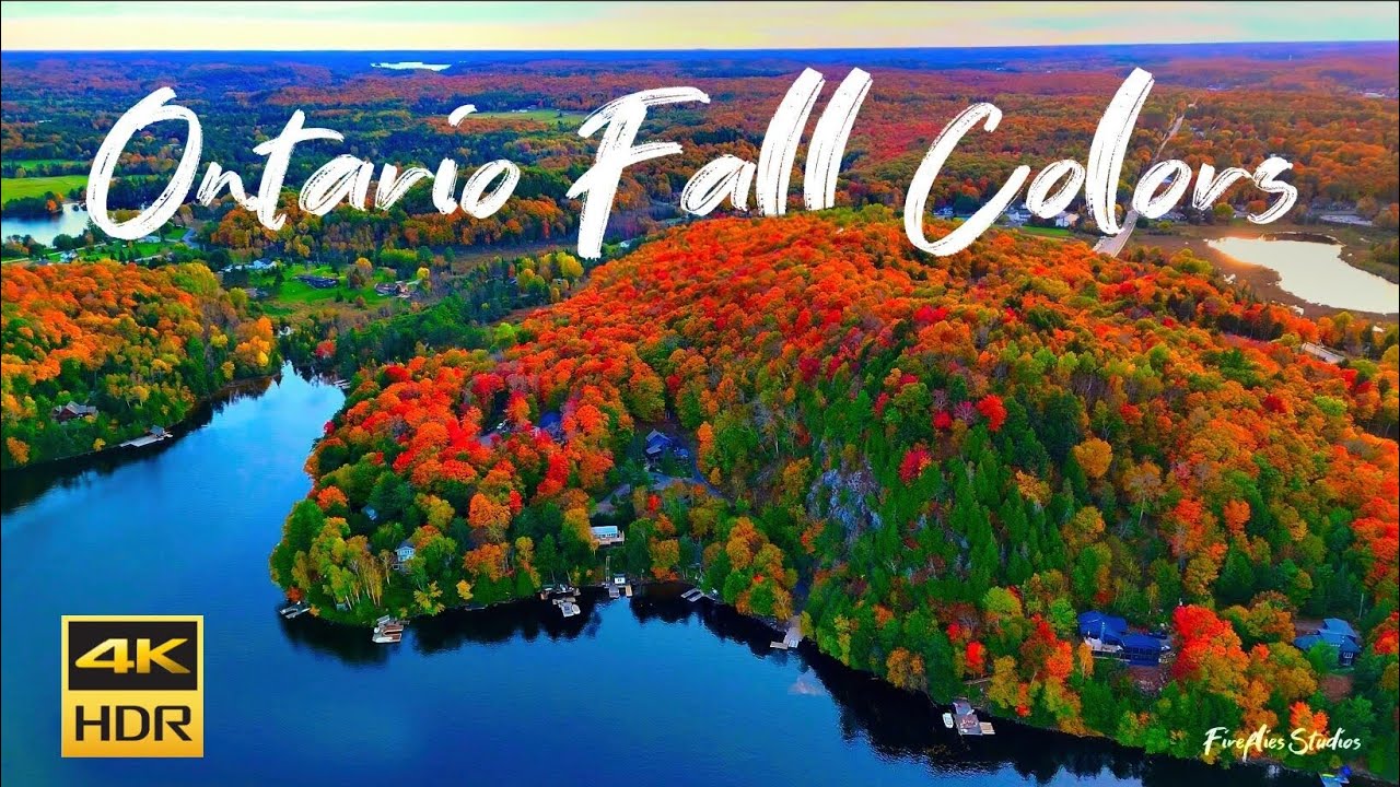 Experience the MOST BREATHTAKING Muskoka Fall Drone Footage | 4k HDR!