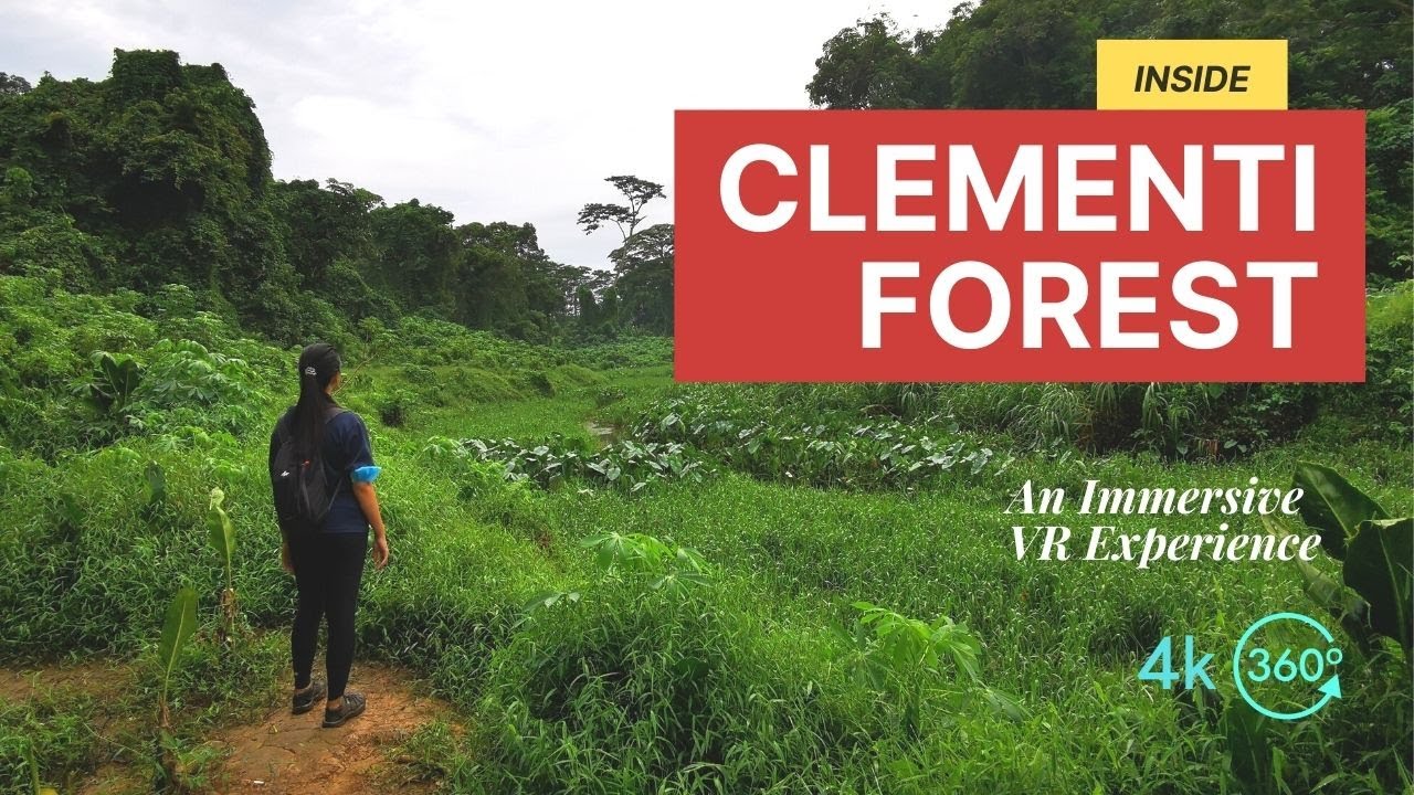 Inside Clementi Forest | The Old Jurong Line Railway |  360° Immersive Experience
