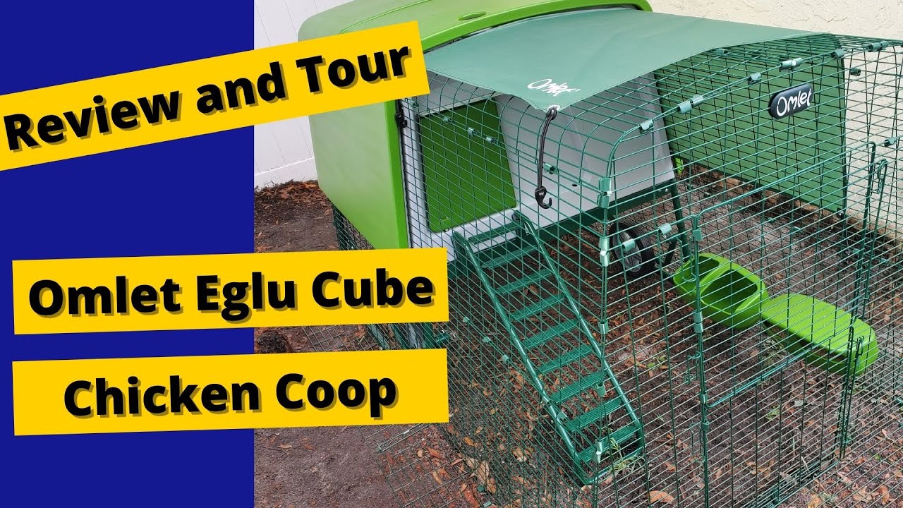 Review and Tour of the Omlet Eglu Cube Chicken Coop