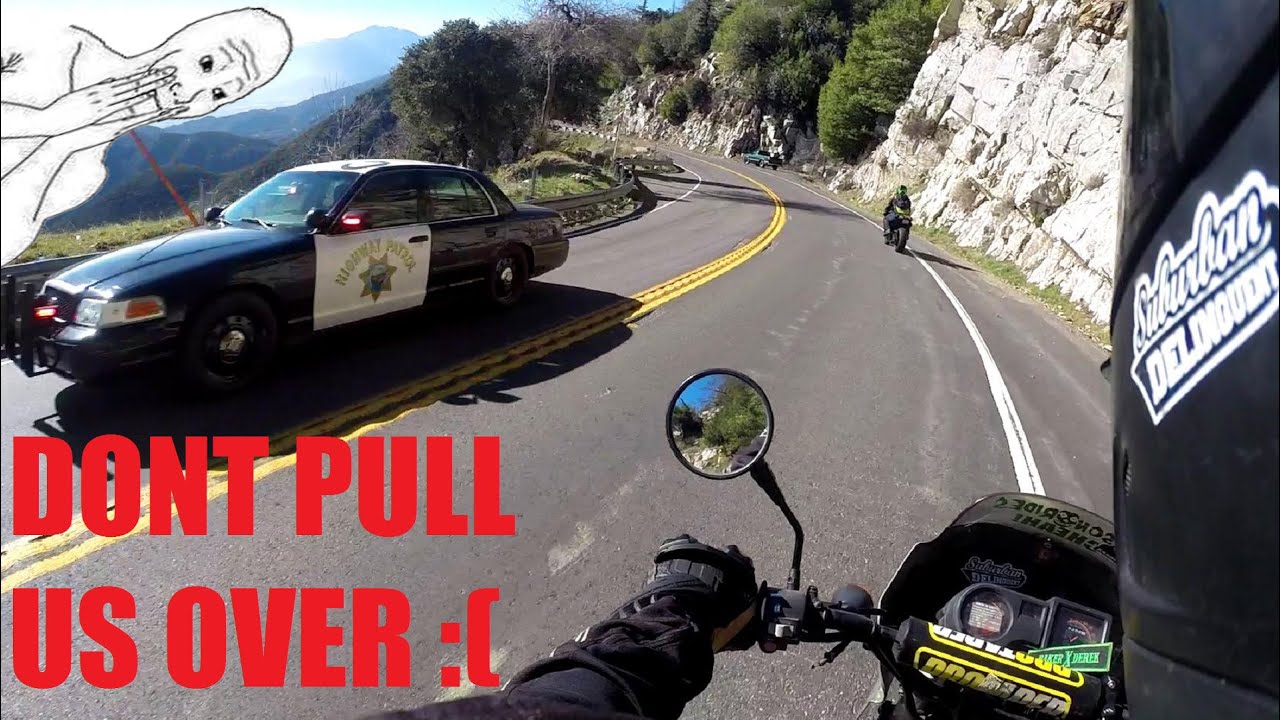 COPS On The Hunt | Would You Rather ?
