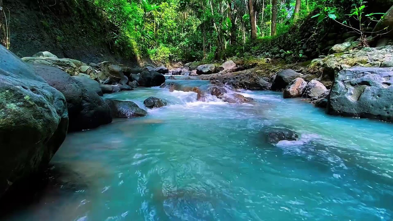 Mountain Stream Water Noise, Forest River Flow, Sleep