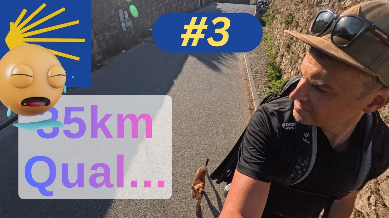 Jakobsweg: Camino Portuguese & Finisterre #3 - Von Barcelos 35km nach Ponte de Lima