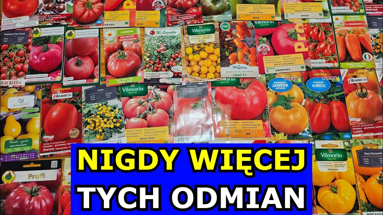 Najgorsze Odmiany Pomidora i Ogórka. Polecane Odmiany Pomidorów Ogórków gruntowych Siew Rozsada 2026