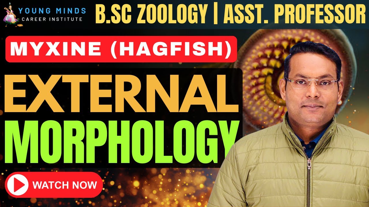 Myxine External Morphology | B.Sc Zoology