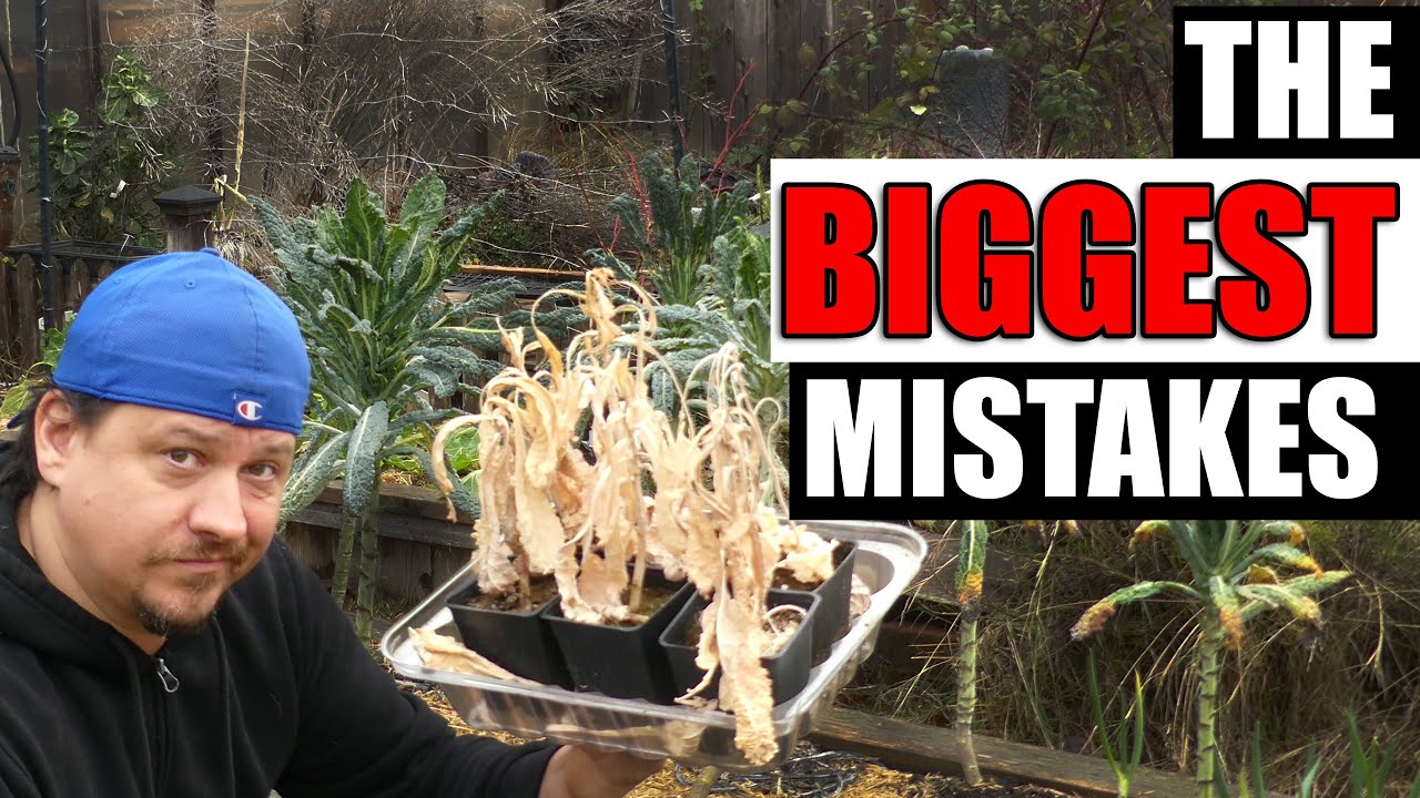 5 Mistakes From My Garden This Year
