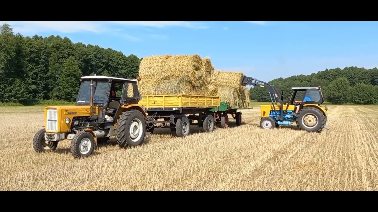 🌾 Zwożenie słomy  2024 URSUS C360💥URSUS c355💥AUTOSAN D47💥ENGINE SOUND💥Praca silnika 🌾