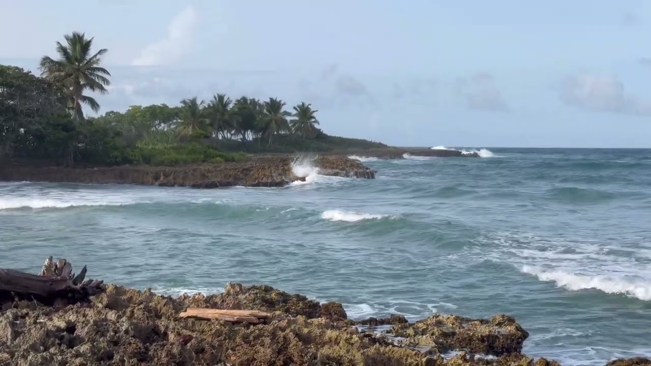 1 HOUR Ocean Waves🏝️ for BEST Sleep Relax Study | Focus Pure Bliss #relaxing #ocean #calm #viral  