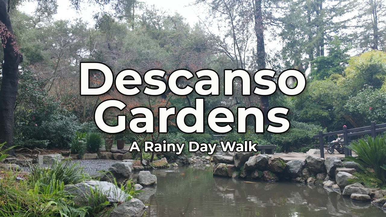 Descanso Gardens: A Rainy Day Healing Walk