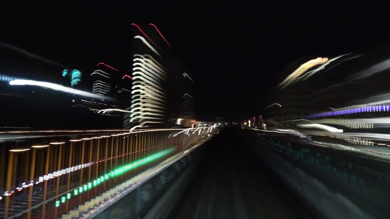 宵闇のゆりかもめ