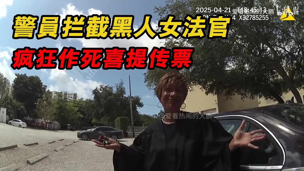 警員攔截黑人女法官，砸碎尾燈瘋狂栽贓，喜提傳票！| 愛看熱鬧的大鵬