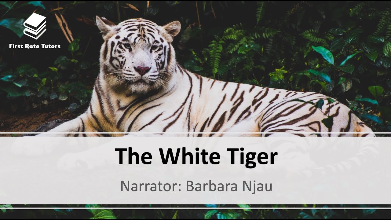 Aravind Adiga's 'The White Tiger': context, plot, themes and characters! | Narrator: Barbara Njau