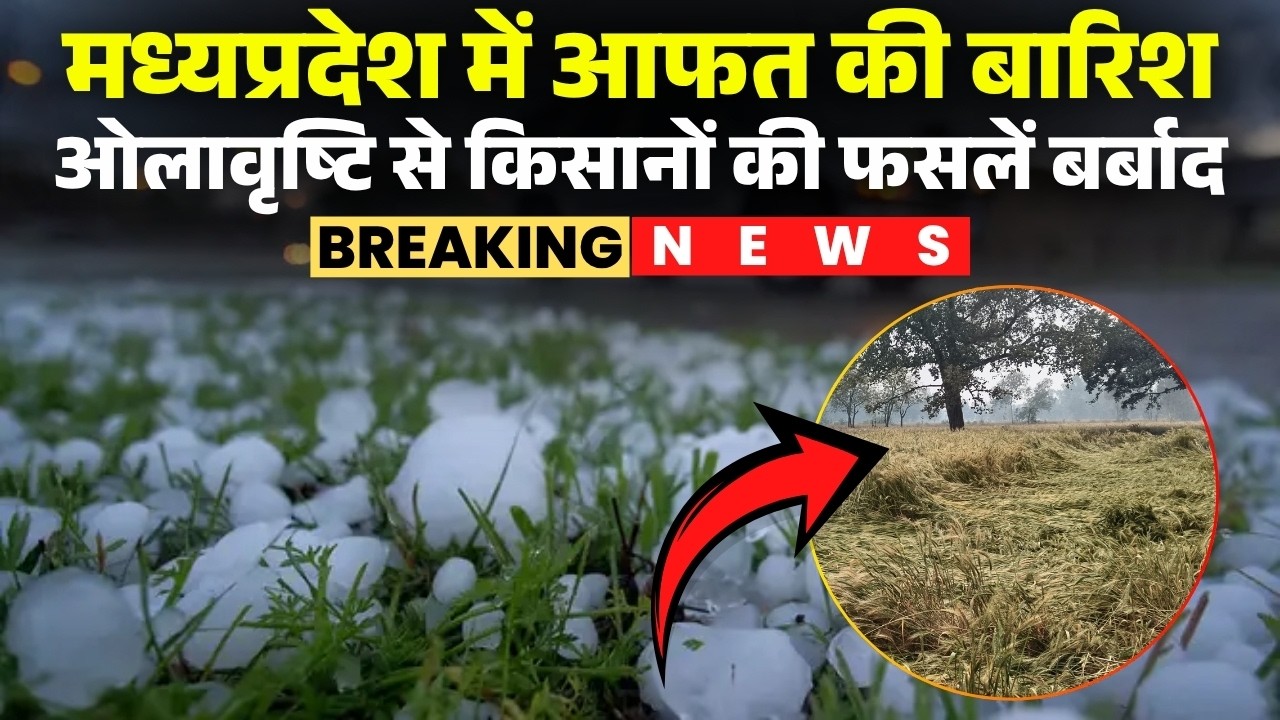 MP Weather Update: The weather has changed in Madhya Pradesh, bringing relief from the heat and a...