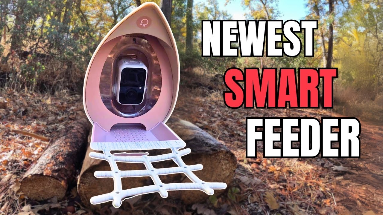 PeckPerk AI Smart Bird Feeder - Unboxing and Setup!