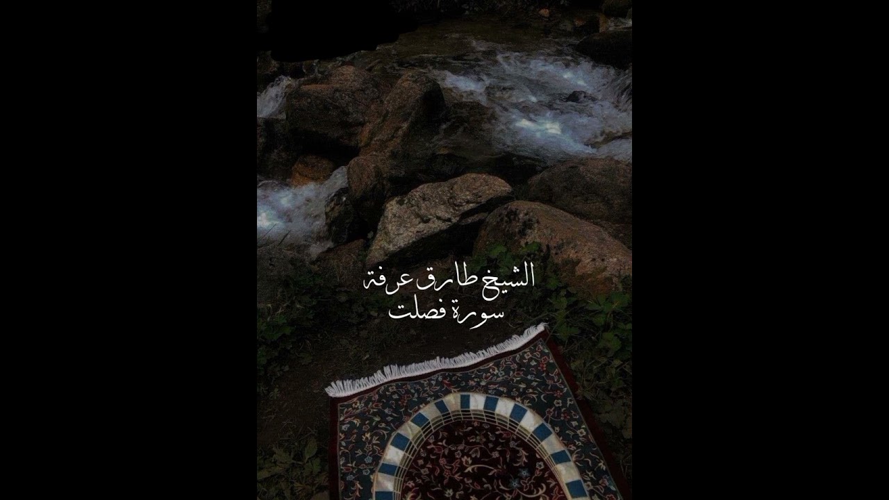 سورة فصلت من قيام رمضان ١٤٤٦_ طارق يوسف عرفة
