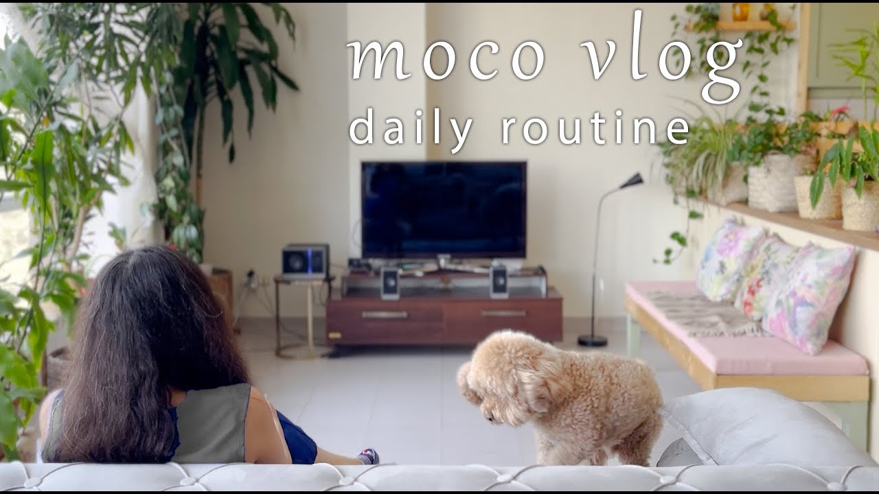 【5:30 am morning】Daily Routine Vlog ✨| Peaceful Living & Eating Breakfast with My Two Dogs ! 🐶
