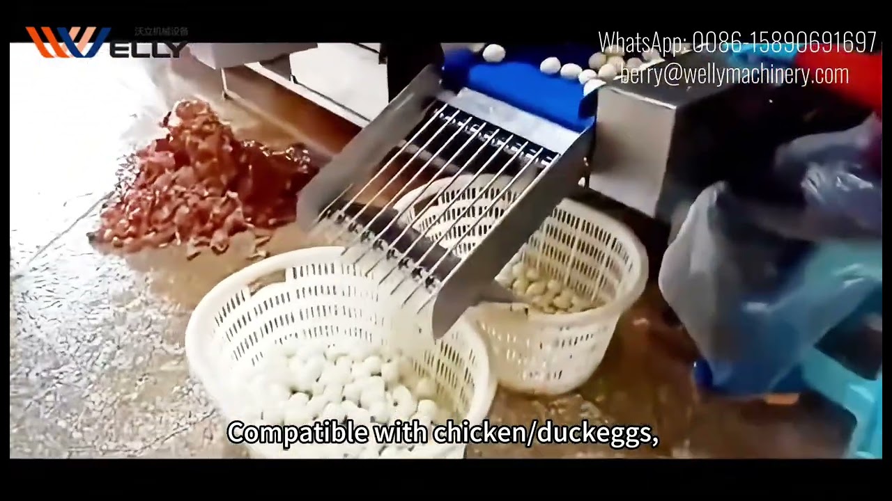 High capacity Industrial egg sheller | egg peeling machine