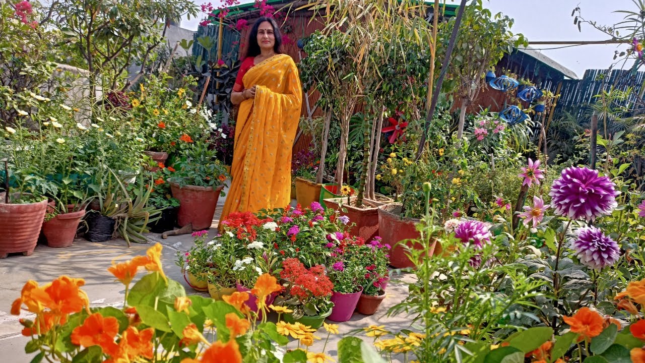 Garden tour | Terrace garden jungle | Beautiful flowers |