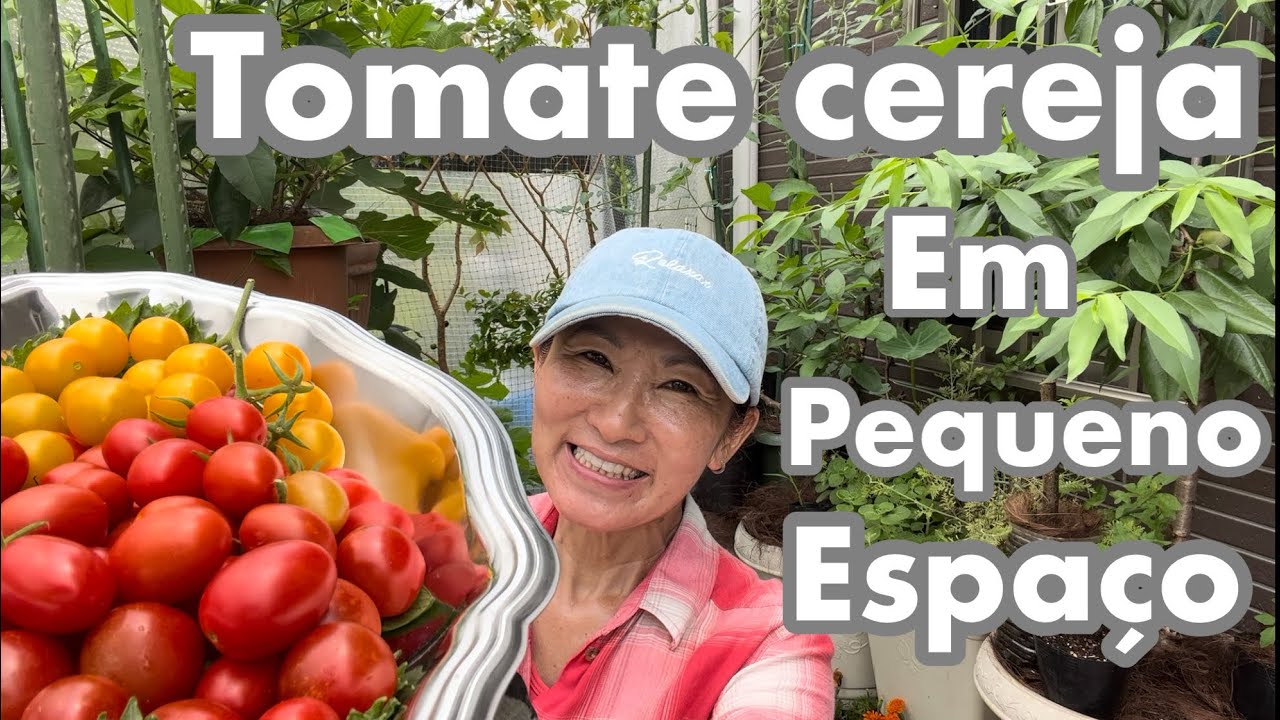 COMO PLANTAR TOMATE CEREJA NO VASO E COMO FAZER A PODA@hortadajaponeuza123