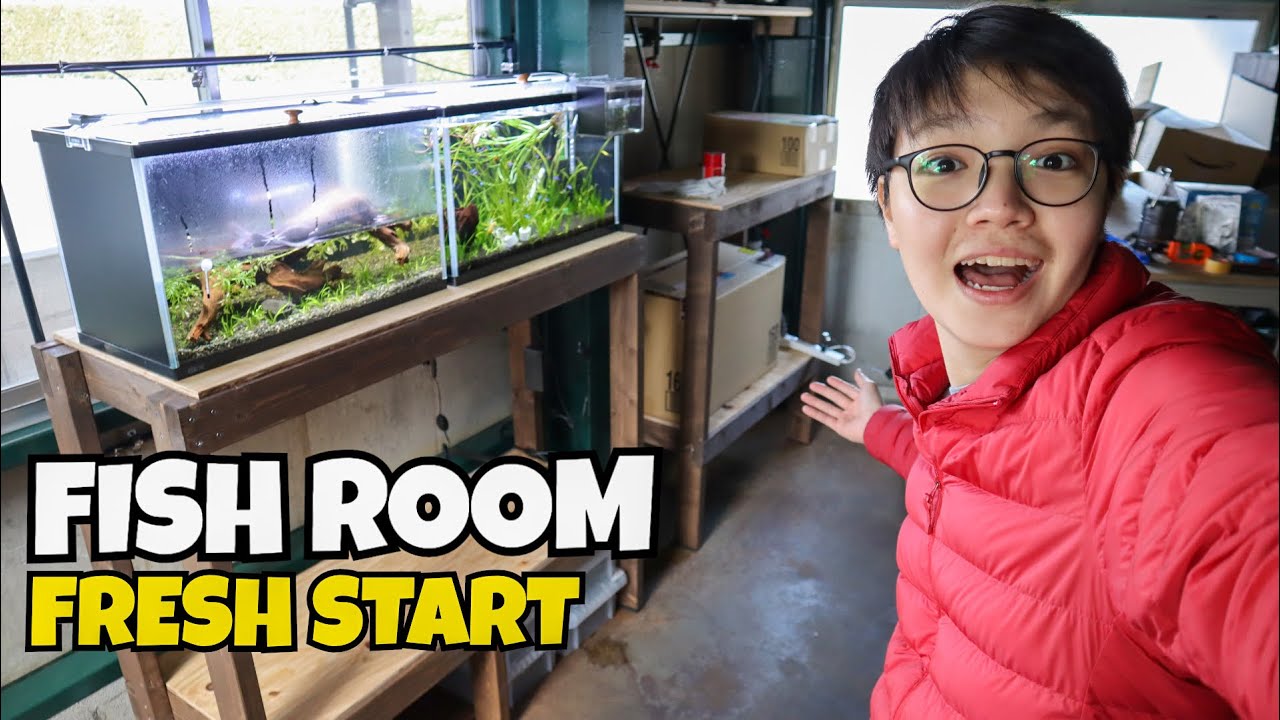 Starting Over My Fish Room - Builiding DIY Dado Aquarium Racks
