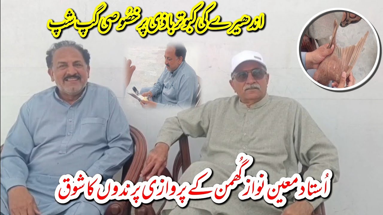 Ustad Moin Nawaz Ne Di Andhere Ki Kabutar Bazi K Mutalik Tips 