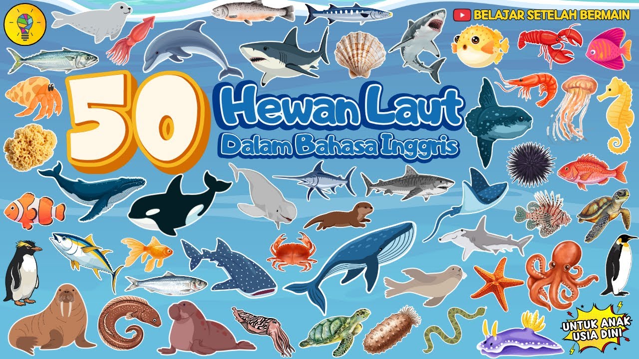 50 Hewan Laut dalam Bahasa Inggris untuk Anak Usia Dini - Belajar Mengenal Nama Hewan Laut