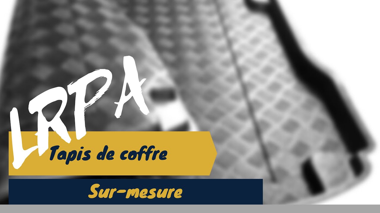 Tapis de coffre sur mesure pour voiture