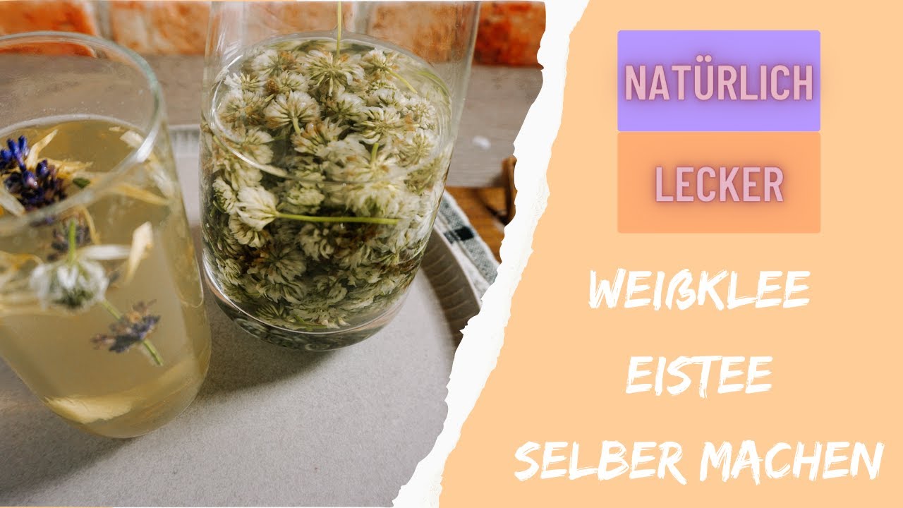 Weißklee Eistee selber machen - Rezept - Natürlich Lecker