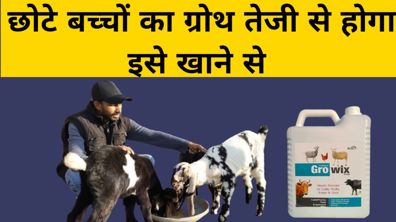 छोटे बच्चों का ग्रोथ तेजी से होगा?