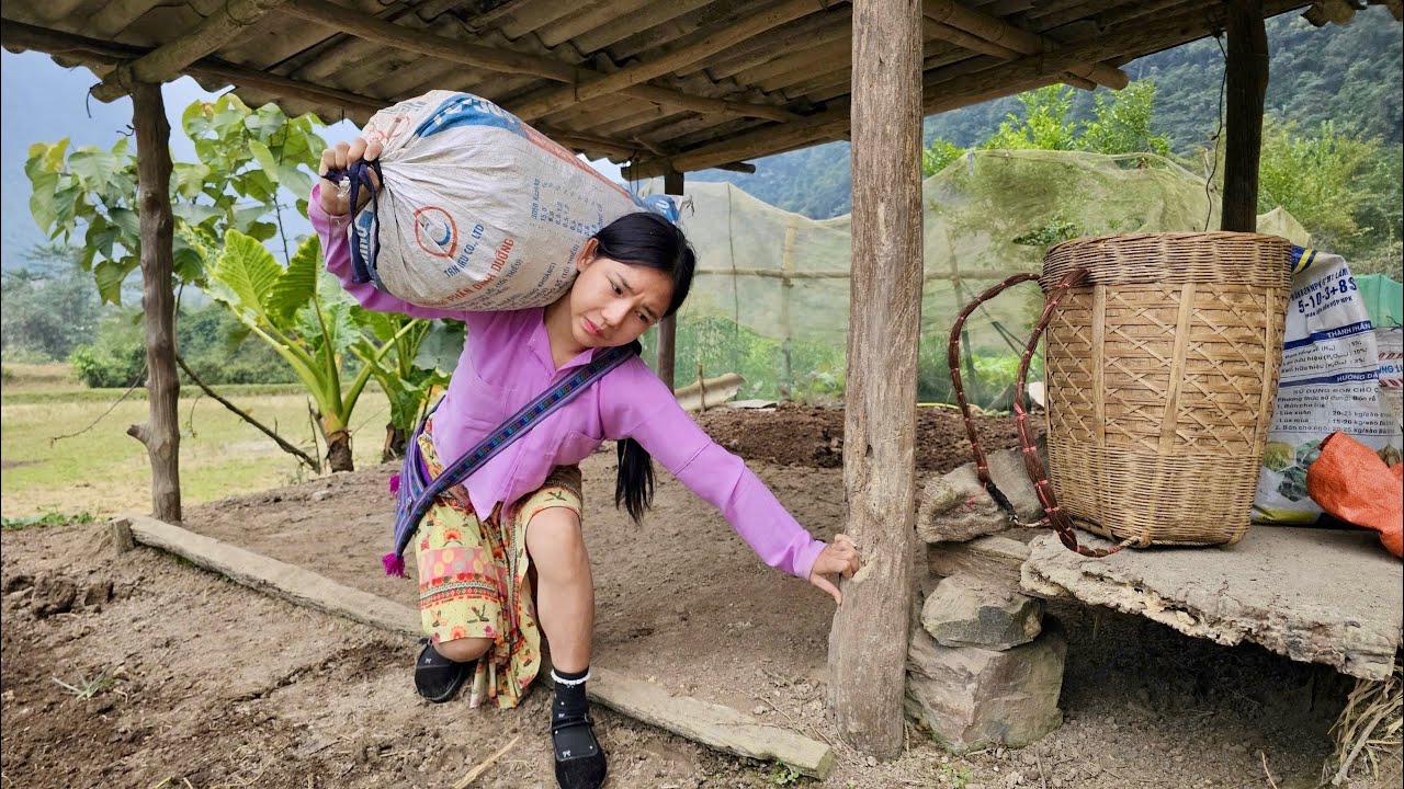 Country girl and her life alone, Daily Life, country blog | Hoang Thi Mai
