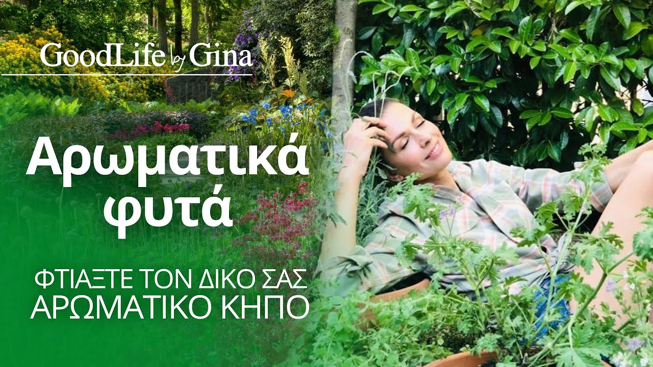 Αρωματικά φυτά! Φτιάξτε τον δικό σας αρωματικό κήπο! | GoodLife by Gina